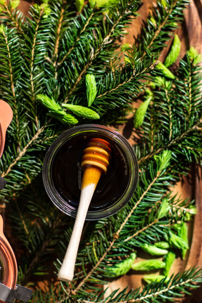 Honig aus Fichtenspitzen maiwipfel sirup arme leute honig altes rezept tradition