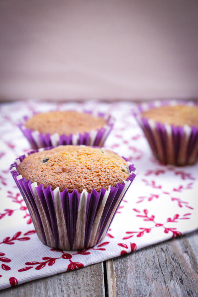 heidelbeer muffins mit weißer schokolade kuchen cupcakes