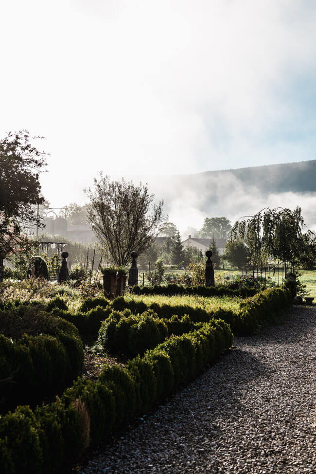 Wermuth Garten Absinth Val de Travers Nebel Morgenstimmung
