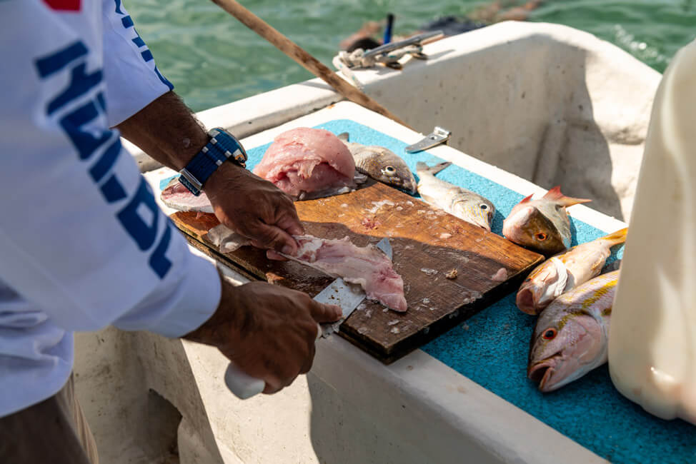 Isla Holbox Mexiko türkisblaues Meer Karibik Cabo Catoche Bootstour Ausflug selbst fischen Ceviche Barsch Angeln