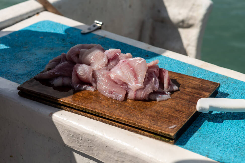 Isla Holbox Mexiko türkisblaues Meer Karibik Cabo Catoche Bootstour Ausflug selbst fischen Ceviche Fischfilets Barsch Angeln