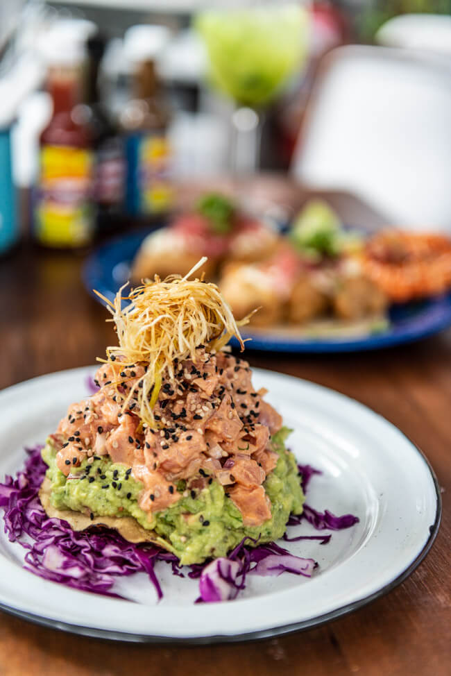 Isla Mujeres Restaurant Fish&Gin Fischrestaurant Tostados mit scharf mariniertem Thunfisch GUacamole