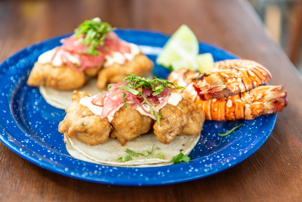 Isla Mujeres Restaurant Fish&Gin Fischrestaurant Hummer Tacos