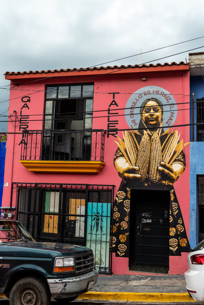 Oaxaca de Juaréz Mexiko Streetart Hausbemalung Mais