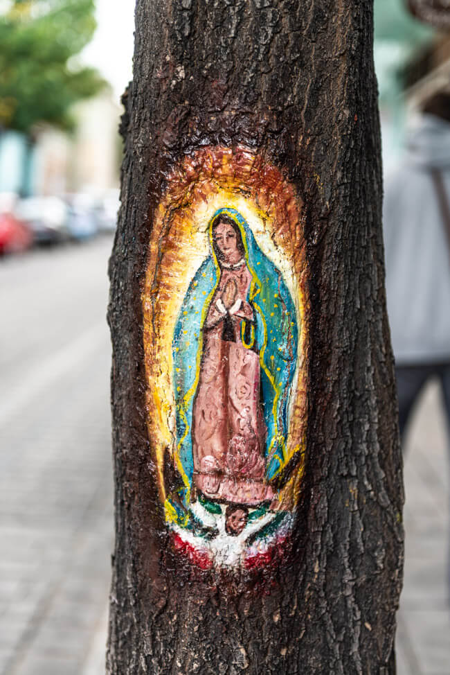 Oaxaca de Juaréz Mexiko Streetart Baum Maria