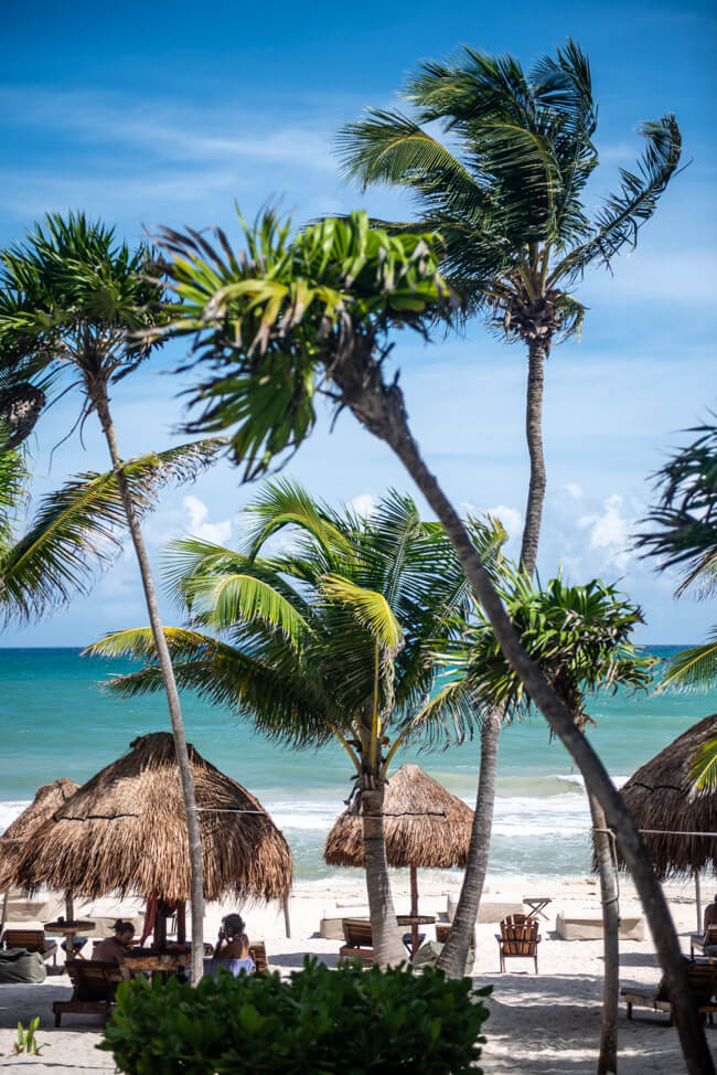 Mexiko Yucatan Tulum Traumstrand Palmen Meer türkisblau weißer Sandstrand