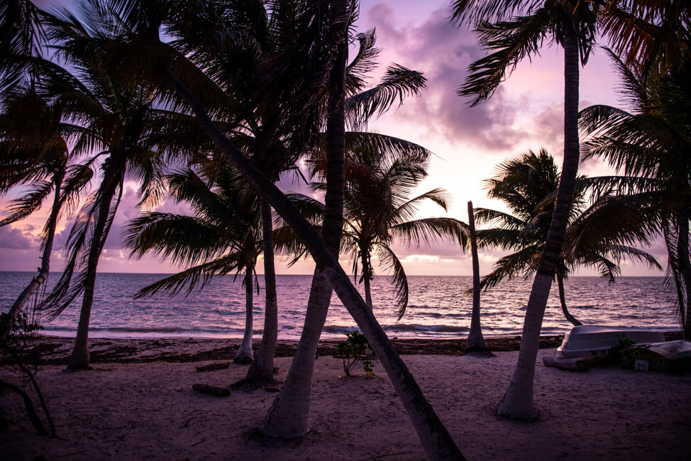 Punta Allen Sian Ka´an Nationalpark Meer Strand Traumstrand Palmen Morgenstimmung Sonnenaufgang