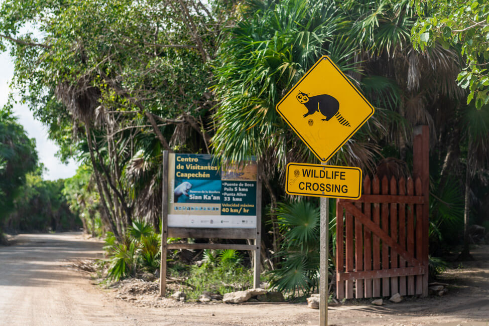 Punta Allen Sian Ka´an Nationalpark Lagune Meer Straßenschild wilde Tiere